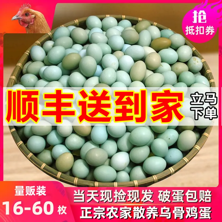 知楚90枚绿壳乌鸡蛋新鲜60枚正宗农村乡下土鸡蛋农家散养16枚一箱