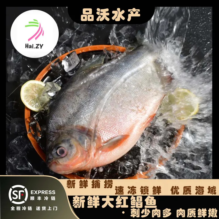 【顺丰冷链】鲜活速冻大鲳鱼 无冰特大号红鲳鱼  刺少 600g-750g/条