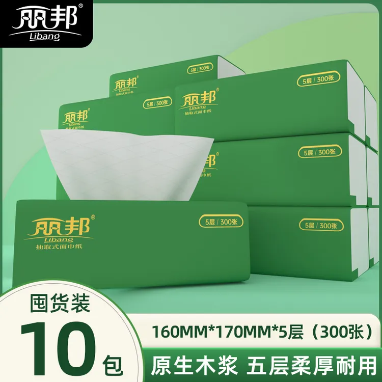 丽邦5层柔厚柔软抽纸300张10大包家用便携纸巾吸水纸抽亲肤