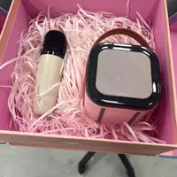露营音响 颜色款式随机发WZ