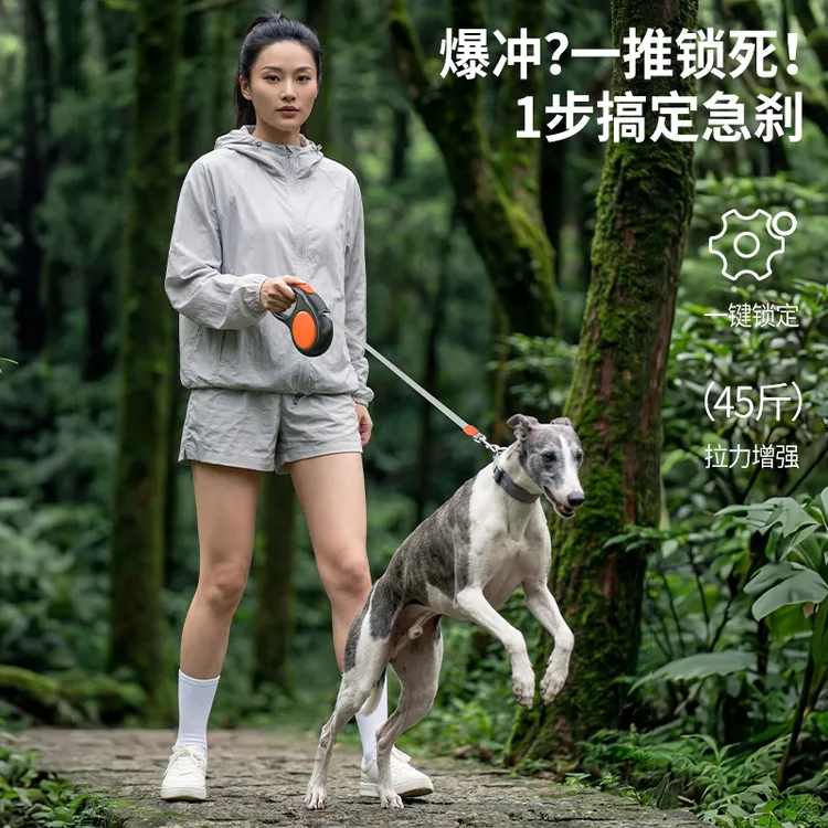 狗狗牵引绳自动伸缩遛狗链子中型小型犬泰迪柯基宠物宠物用品绳子商品图
