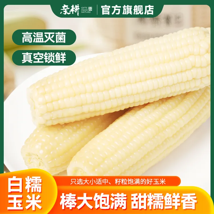 亲耕白糯玉米新鲜东北甜鲜糯玉米真空包装 260g*10穗