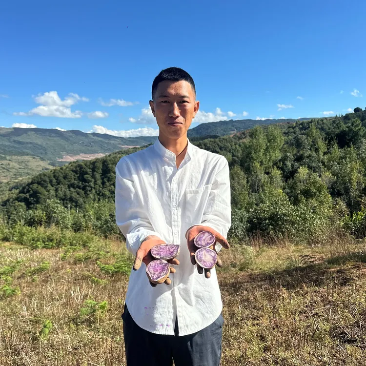 阿布专属大凉山乌洋芋 高原种植  新鲜现挖  绵密软糯