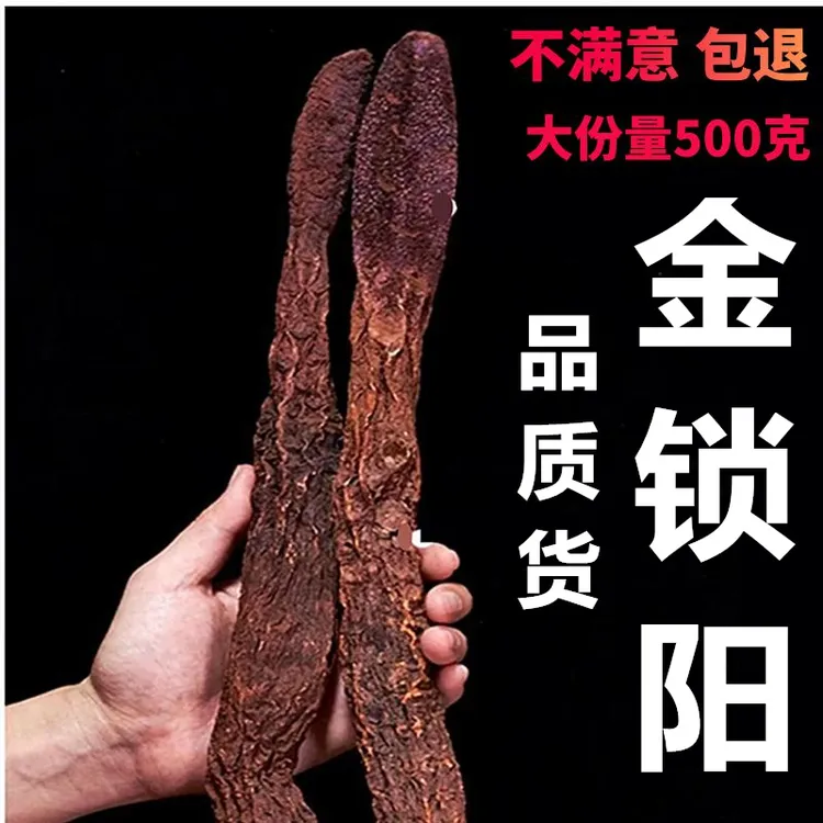 正宗金锁阳晒干整根包装泡酒专用材料干货批发肉苁蓉整根泡酒泡水