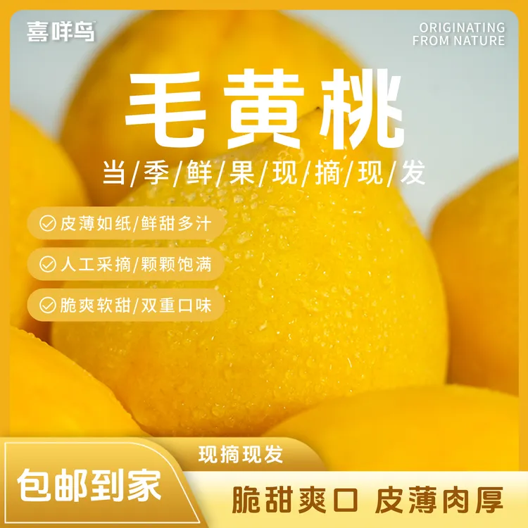 【顺丰包邮】应季白玉桃香甜果园产地直发香甜脆嫩核小水果当季热卖