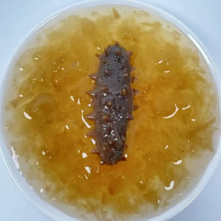 九月印象鲜炖海参海参炖燕窝一盒六瓶（90克/瓶）开盖即食滋补佳品