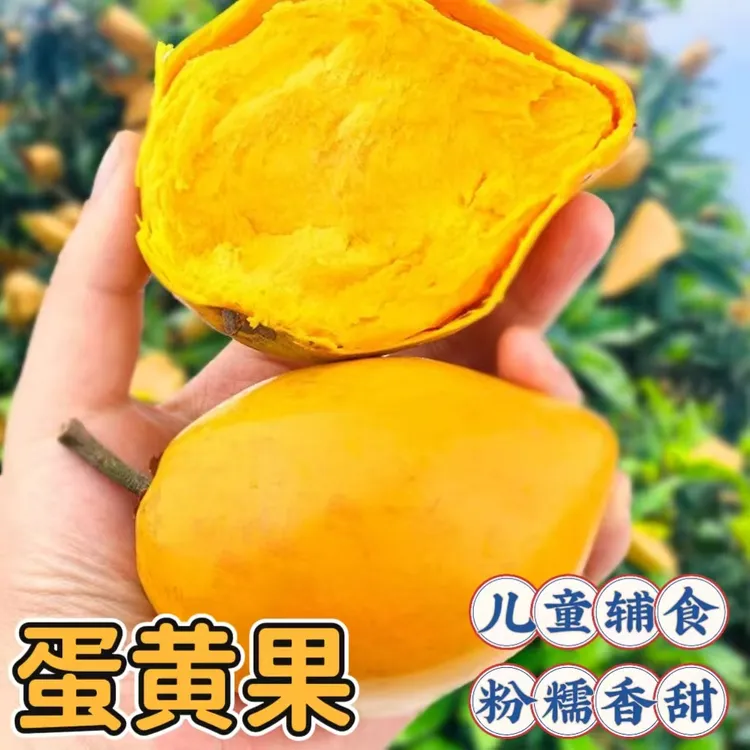 当季鸡蛋果稀缺蛋黄果粉糯香甜绵密不卡颈儿童辅食甜品水果包邮