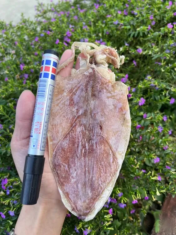 海南特产A1鱿鱼干无盐淡晒手撕鱿鱼干烧烤美味