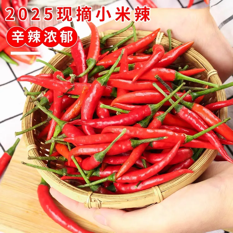 【产地直发】云南小米辣椒天椒特辣超辣薄皮红辣椒小米椒朝指天椒