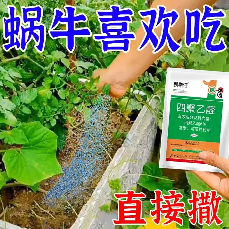蜗牛药菜地杀蜗牛药蛞蝓专用药四聚乙醛四聚乙颗粒灭蜗牛杀虫剂