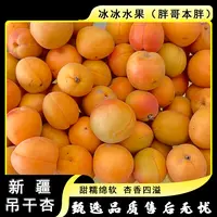 【原箱】[N]新疆空运吊干杏 份/6斤左右 仅太原晋中吕梁忻州可拍