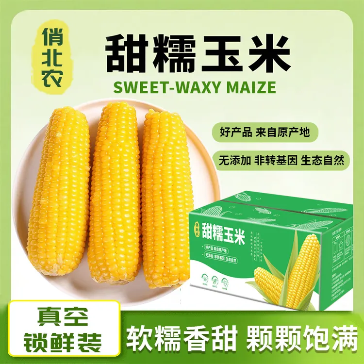 25年头茬东北糯玉米东北现摘新鲜黄糯玉米黄甜糯玉米应季糯玉米