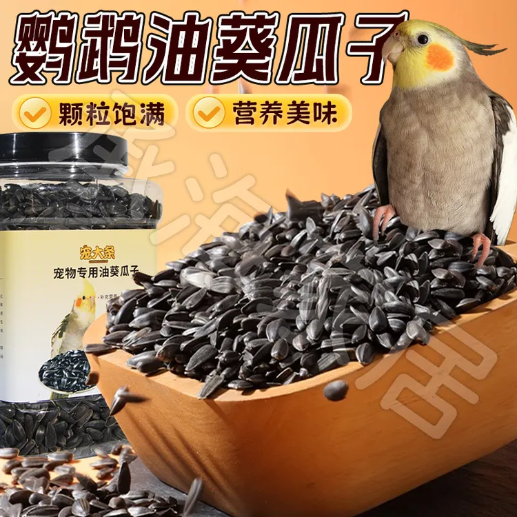 【训练逗鸟 丰富油料】鹦鹉专用油葵瓜子鸟零食仓鼠粮鸽粮瓜子粮DD