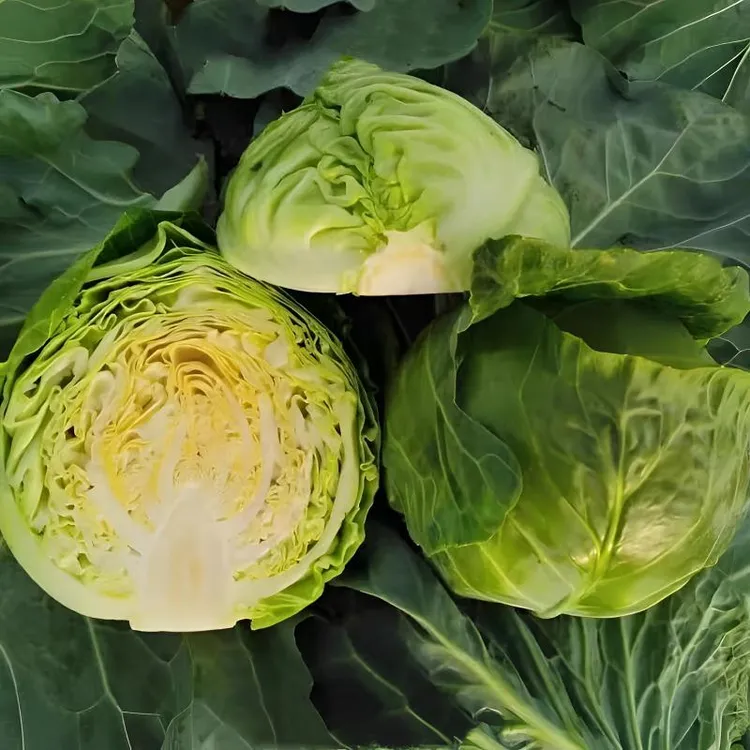 （地头价）新鲜黄心水果绿甘蓝菜农家种植卷心菜越冬大头菜现砍现发