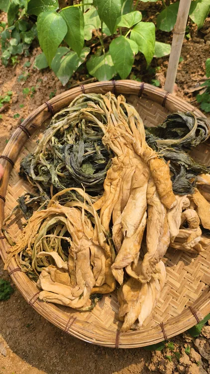 广西英家大头菜开胃下饭