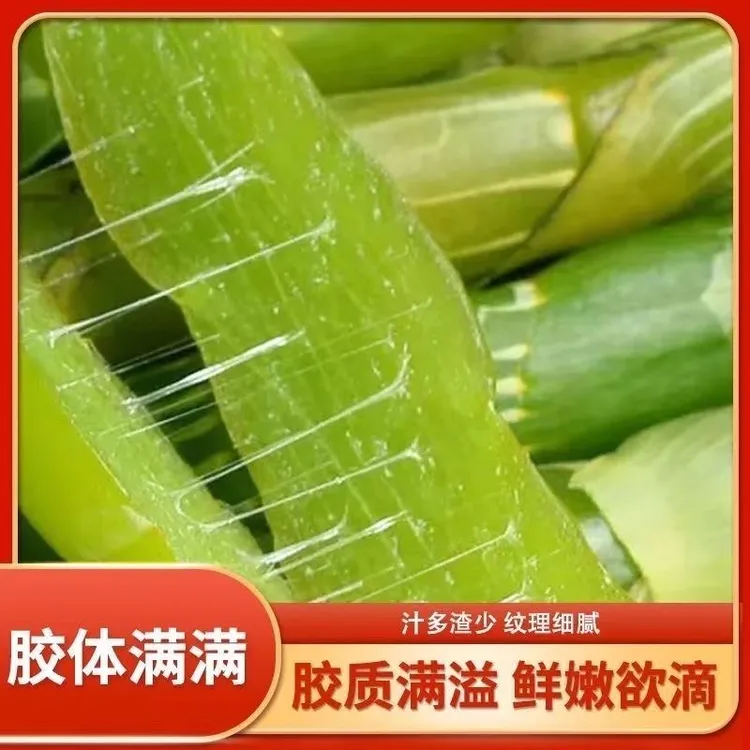 正宗云南龙陵新鲜采收福利款回馈粉丝福利款