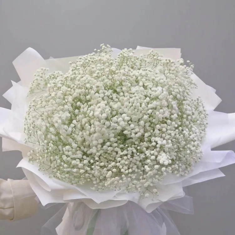 满天星鲜切花婚庆策划花艺设计家居插花周岁布置求婚布置打花束