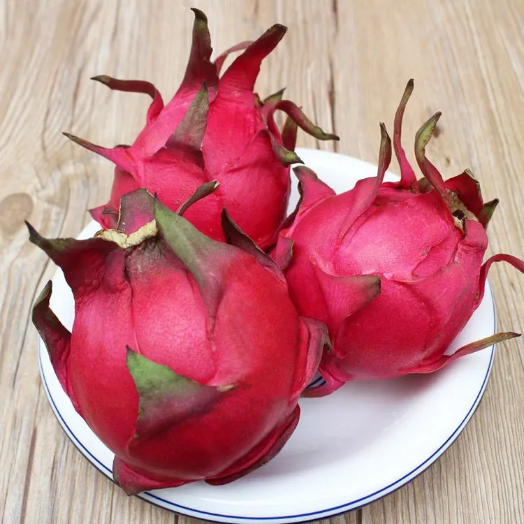 现摘现发 广西红心火龙果新鲜应季水果皮薄多汁营养丰富产地直发