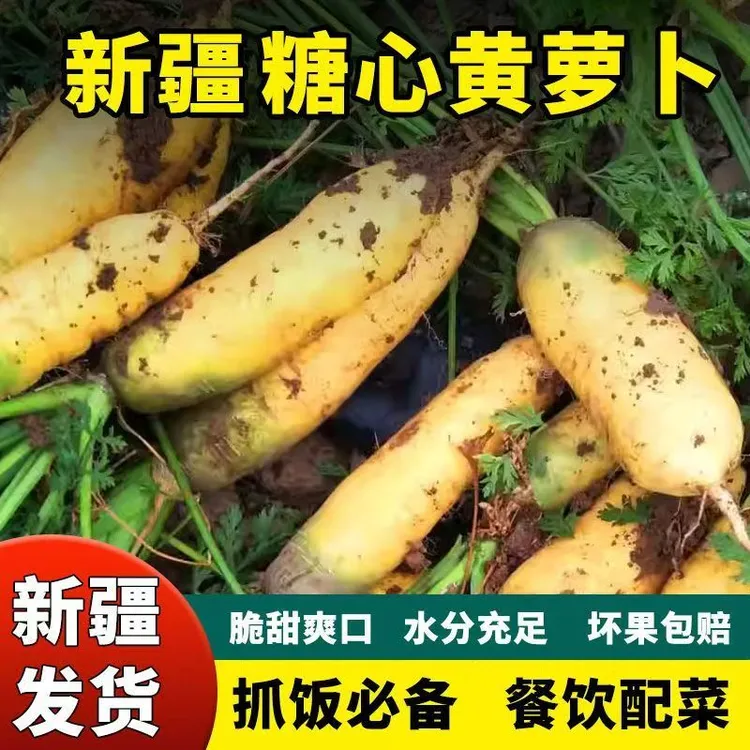 【5斤装】新疆糖心胡萝卜（黄萝卜） 抓饭 凉拌 生吃
