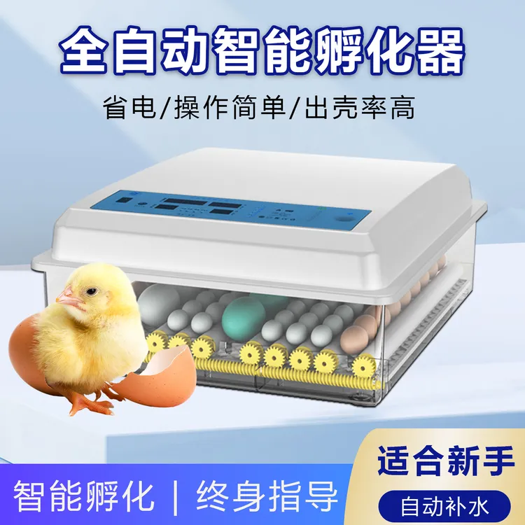 博实孵化器全自动专业智能小型孵化机芦丁鸡保温鸡鸭鹅恒温孵化箱