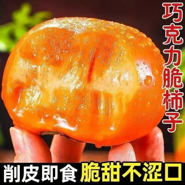山西巧克力脆柿子应季鲜果X