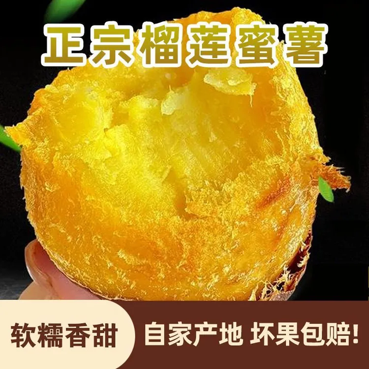 榴莲蜜薯新鲜蜜薯软糯香甜蒸烤3斤5斤装