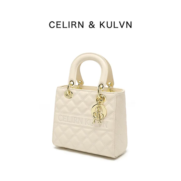 手提戴妃包包女款爆款2025新款轻奢高级感小众高颜值百搭斜挎女包