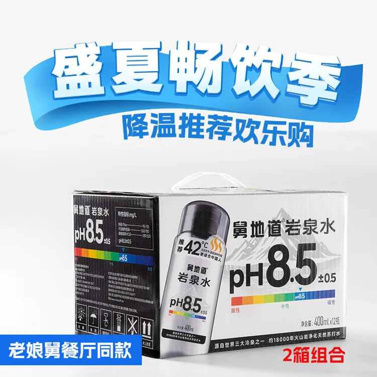 【24瓶 2箱】舅地道岩泉水 天然苏打水