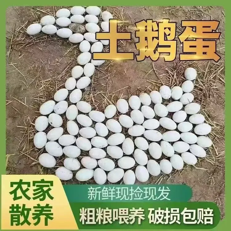先捡先发农家散养新鲜现捡现发五谷杂粮喂养土鹅蛋