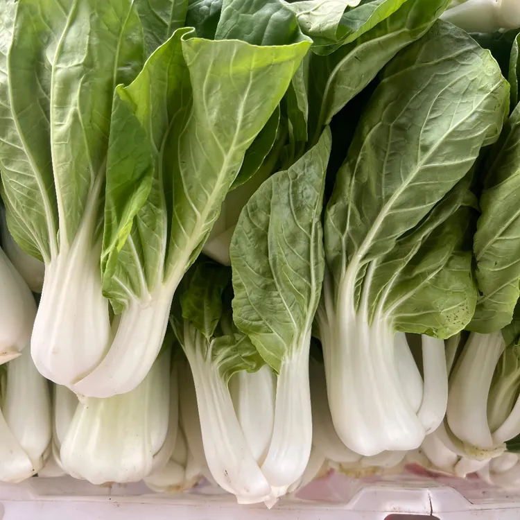 安徽无为特产新鲜蔬菜小白菜青菜新鲜采摘包邮