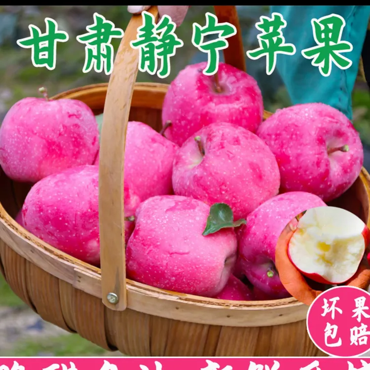 甘肃红富士苹果正宗