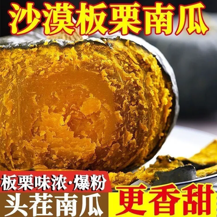 甘肃民勤沙漠板栗南瓜粉糯香甜孕妇宝宝辅食新鲜蔬菜