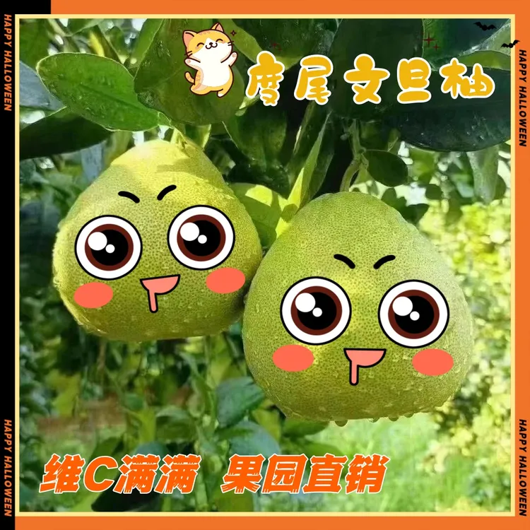 【正宗】福建仙游度尾文旦柚老树当季时令新鲜水果孕妇蜜柚皮薄多汁