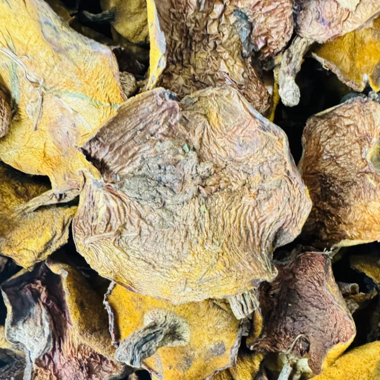 长白山特产粘团子蘑菇（干货）
