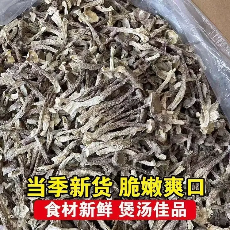 云南鹿茸菇干货净重/袋无干燥剂深山鹿茸菇菌菇无熏菌菇鹿耳菇干