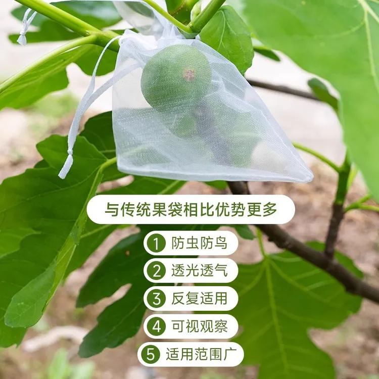 水果套袋防鸟网纱袋瓜果防虫专用袋无花果枇杷葡萄桃子草莓保护袋商品图