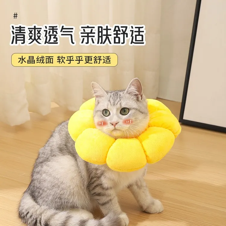 猫咪狗狗宠物绝育伊丽莎白圈防舔脖圈颈圈可吃饭头套