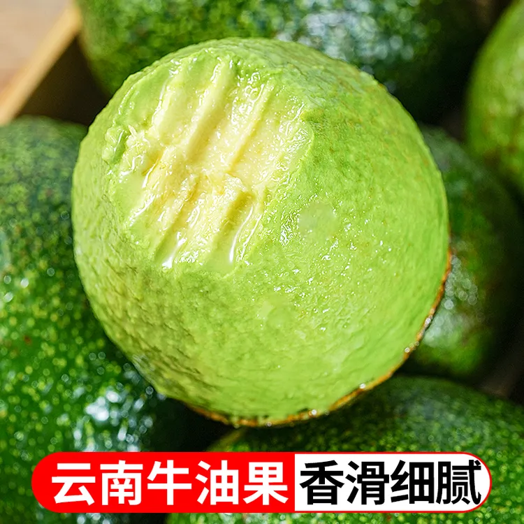 云南新鲜哈斯牛油果软糯香甜4枚6枚装100-190g应季水果TY