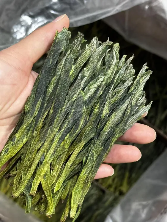 2025【兰香猴魁】太平猴魁手工捏尖 大叶种  群体种