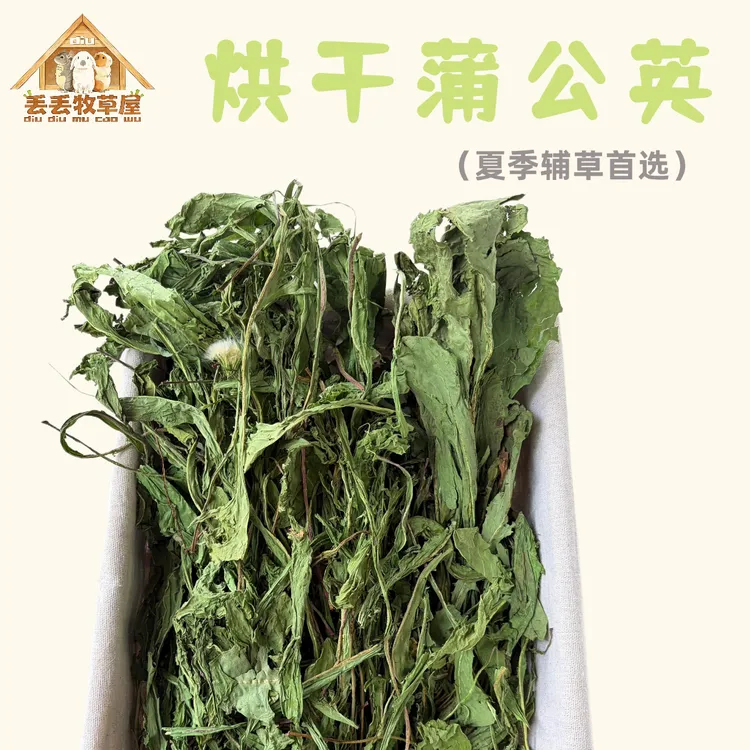 天然烘干蒲公英干草兔子龙猫荷兰猪祛火解暑宠物零食辅草上火必吃