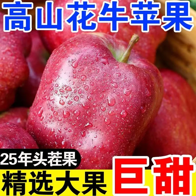 甘肃【天水花牛苹果】中秋送礼首选/脆粉两吃当季新鲜水果整箱包邮B