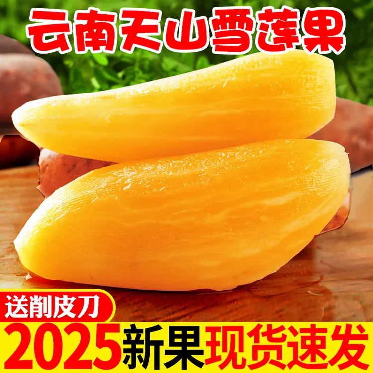 云南天山雪莲果应季水果甜脆多汁新鲜现挖3斤5斤9斤黄心雪连