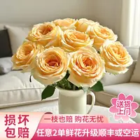 【黄梦宇】蜜桃雪山单头玫瑰全场鲜花任意满两单及以上包邮送货上门