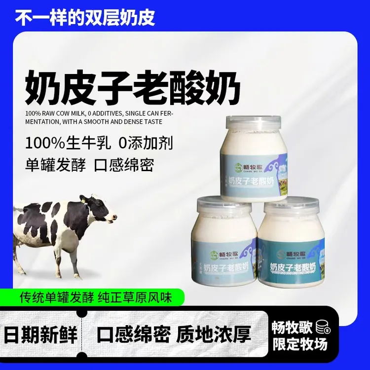 畅牧歌正宗奶皮子老酸奶自然发酵酸奶零添加500g装内蒙古奶皮子