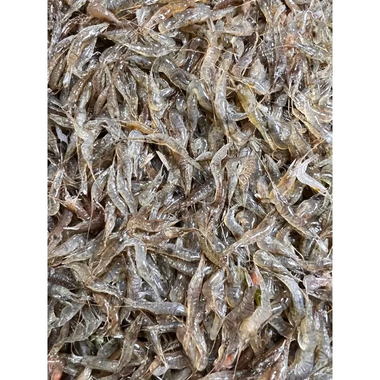 小河虾速冻锁鲜嫌小勿拍鲜香美味5斤顺丰包邮