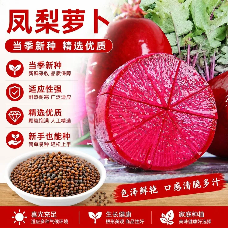 【 L 】凤梨水果萝卜凤梨萝卜阳台菜园庭院可萝卜种子商品图