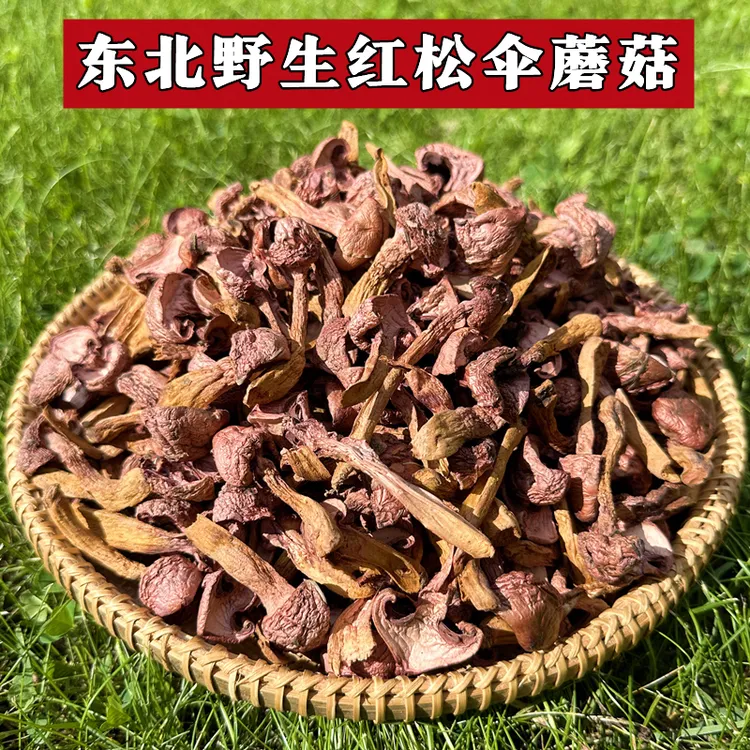 东北野生红蘑菇松树伞蘑菇丁干货松蘑鸡血蘑肉蘑菌菇煲汤特产礼盒
