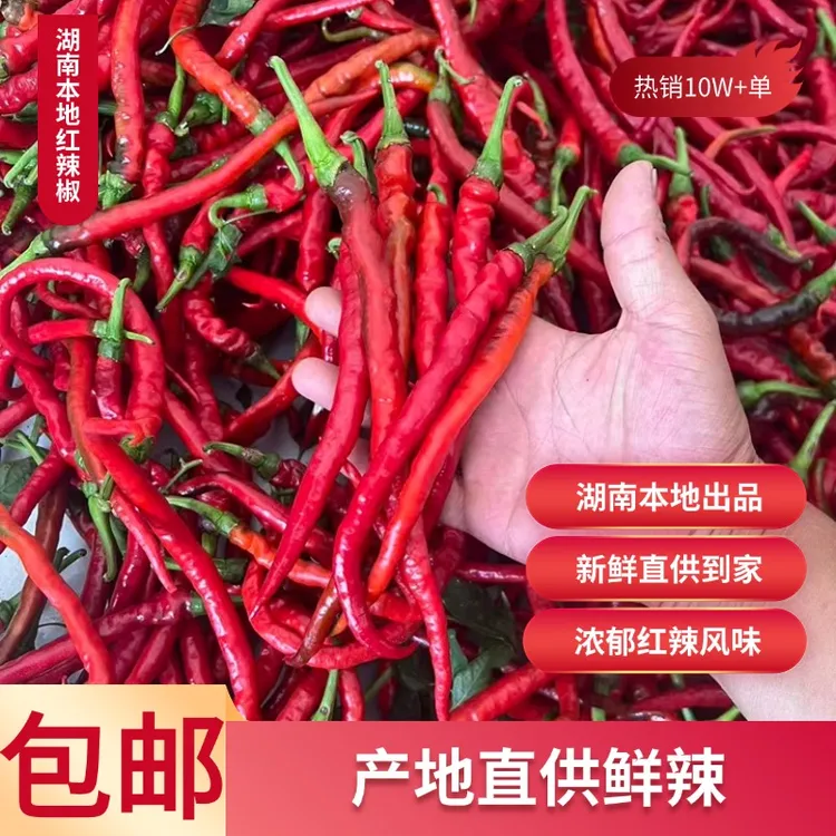 湖南新鲜现摘农家红螺线辣椒中辣香辣可做剁椒泡椒辣椒酱