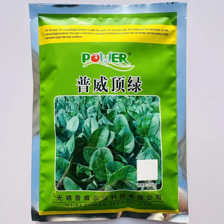 黑叶菠菜种籽叶色黑绿油亮菠菜种子易捆扎抗病强杂交一代菠菜