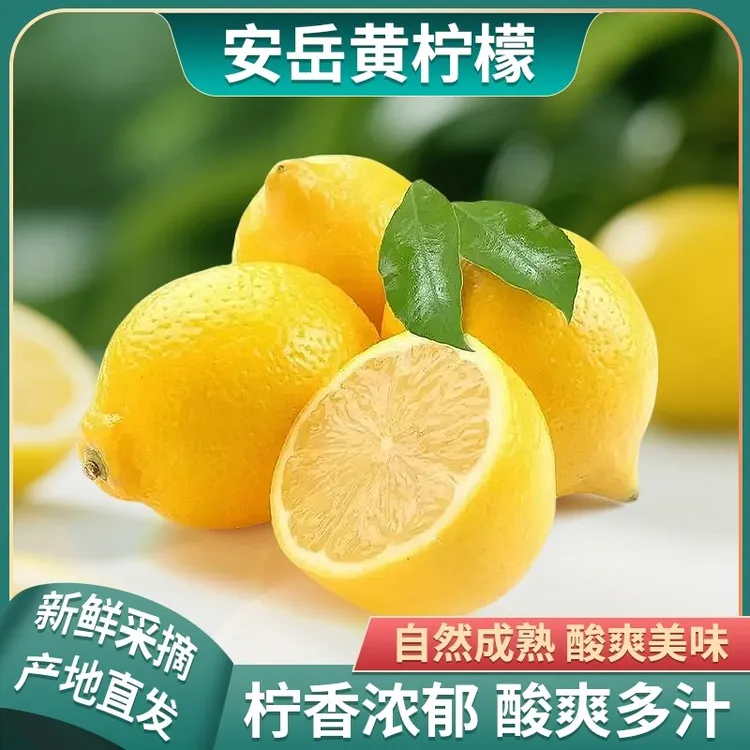四川安岳黄柠檬整箱产地批发当季奶茶店家用薄皮大果新鲜生柠檬